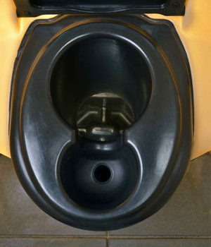 3pTechnik_494-1-450 3P Technik Sani Solar Toilet - Lid Raised