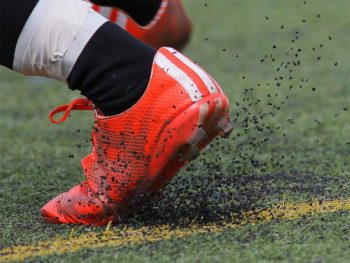 Artificial Turf showing Rubber Crumb Infill plastic